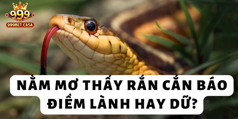Ý nghĩa mơ thấy rắn cắn trong từng trường hợp và số tương ứng